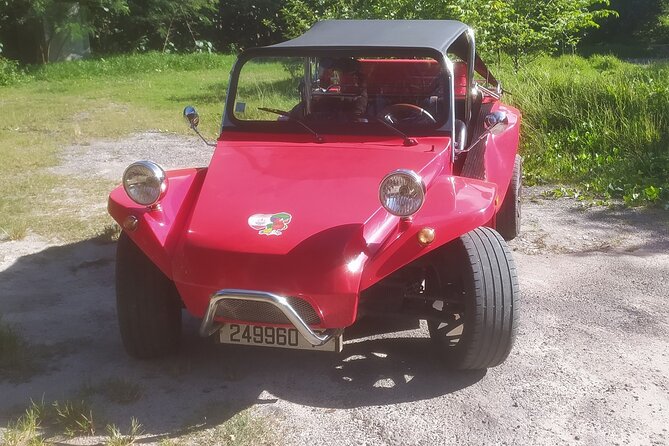 Moorea Buggy Rental - Key points for your Moorea road day