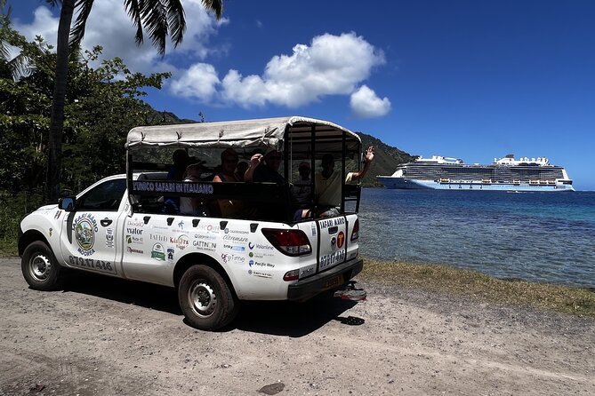 Moorea Cruise Ships: 4x4, Belvedere, Pineapple, & Magic Mountain - Why Magic Mountain makes this more than a bus tour