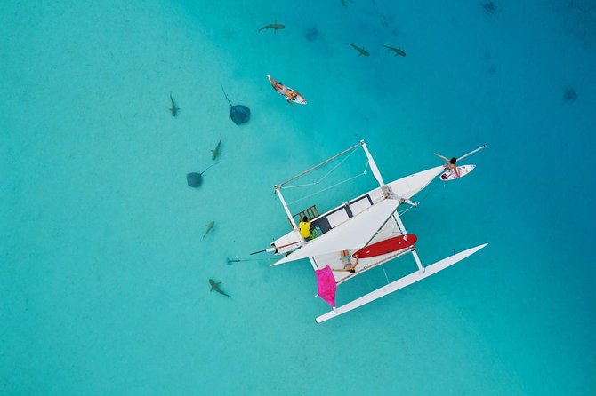 Moorea Discovery Half-day Sailing - Quick points about this Moorea sailing