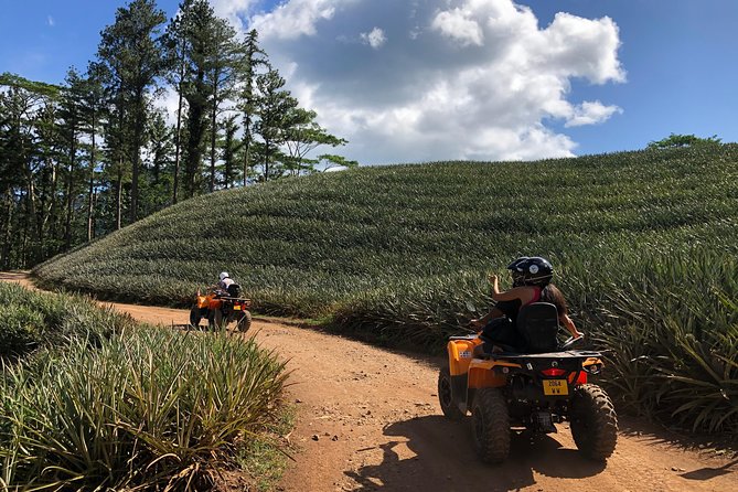 Moorea Explorer Atv Quad Tour - Extra stops that may shape the day