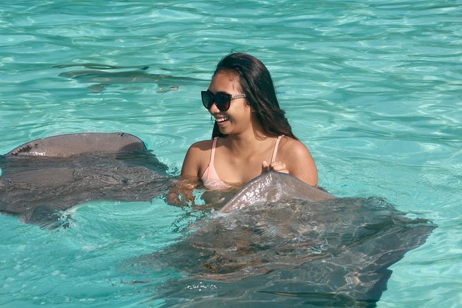 Moorea Explorer Jet Ski tour - Dolphins, whales, and the search for wildlife