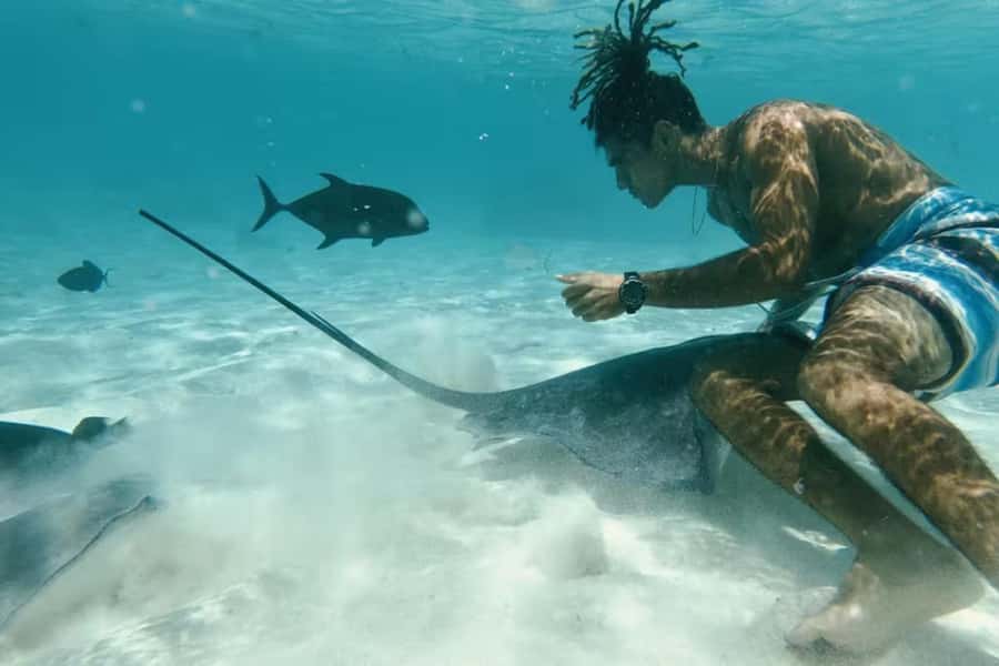 Moorea: Glass Bottom Boat Adventure with Lagoon Wonders - Key points to know before you book