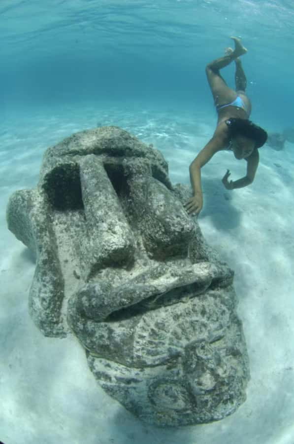Moorea: Glass Bottom Boat Adventure with Lagoon Wonders - What the 330-minute schedule means
