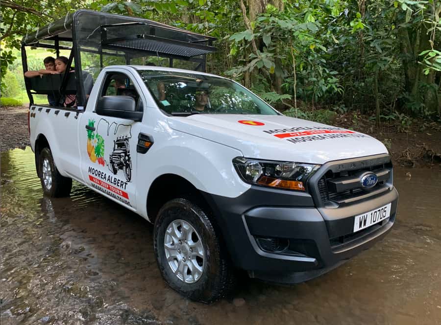 Moorea: Half-Day Open-Air 4WD Safari with Hotel Transfers - Pineapple country connects scenery with daily life