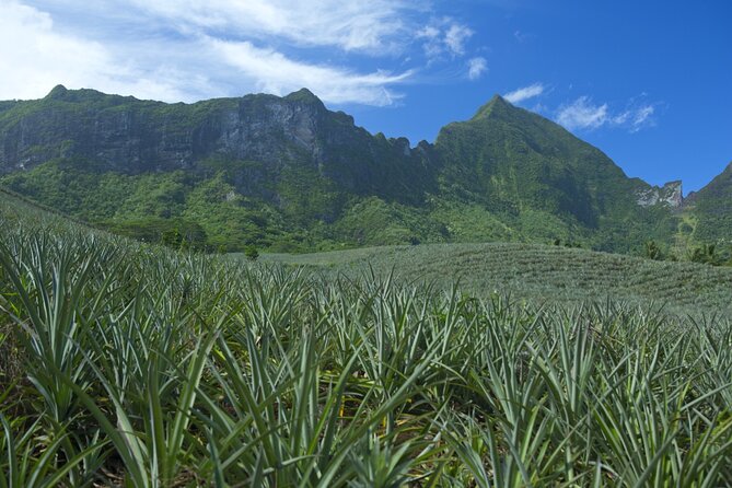 Moorea Highlights Private Tour: Natural and Cultural Attraction - Starting from Papeete and reaching Moorea