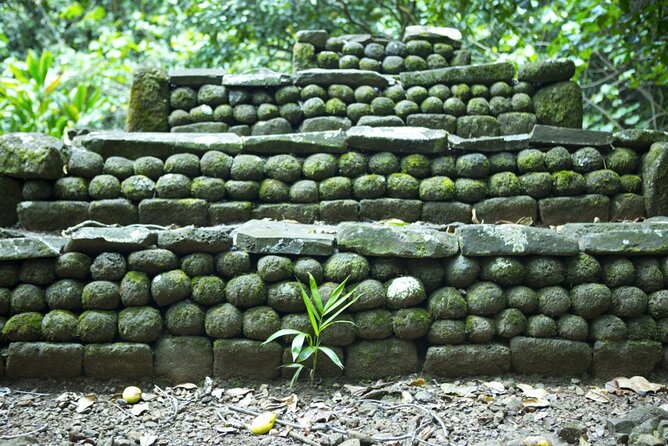 Moorea Highlights Private Tour: Natural and Cultural Attraction - Rotui offers a taste of Moorea’s farm culture