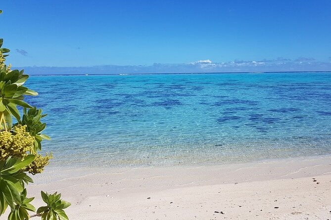 Moorea Highlights Private Tour: Natural and Cultural Attraction - Moorea Tropical Garden slows the pace
