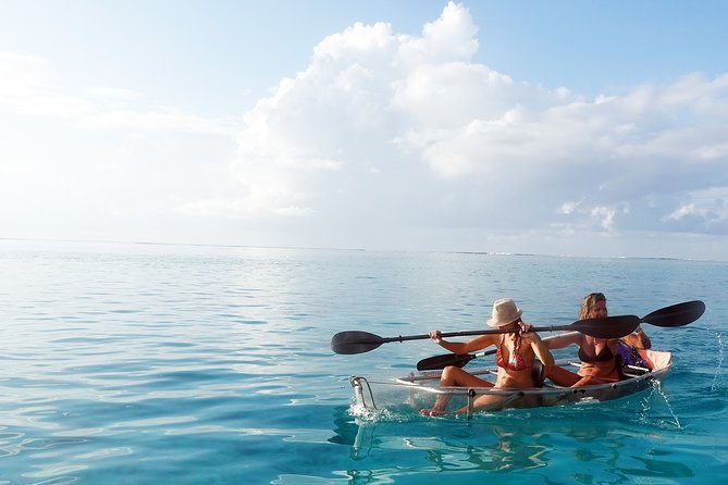 Moorea Lagoon Tour by Transparent Kayak - What the snorkeling adds