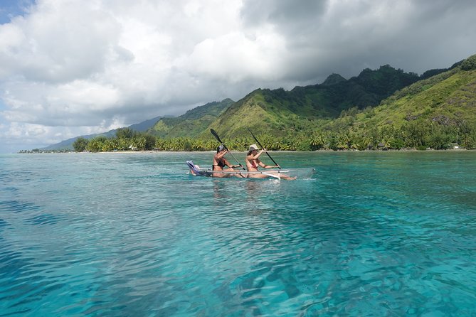 Moorea Lagoon Tour by Transparent Kayak - Meeting at the InterContinental gate