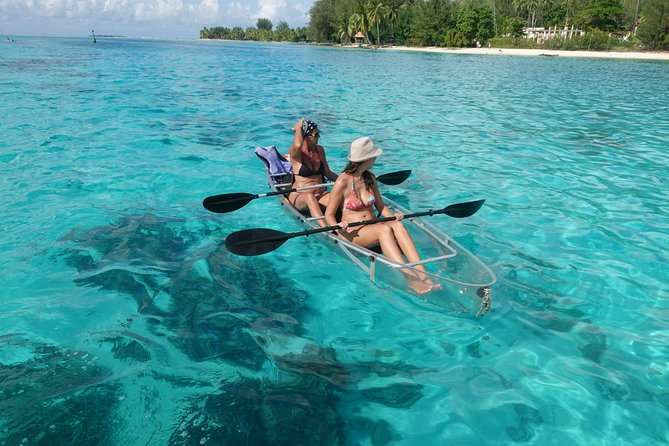 Moorea Lagoon Tour by Transparent Kayak - Weather, visibility, and the honest trade-off