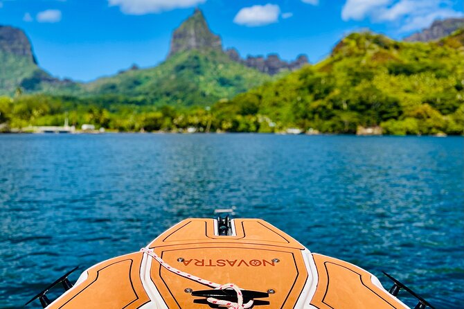 Moorea: Private 4-Hour High-End Boat Excursion - Cook’s Bay and Opunohu Bay from the water