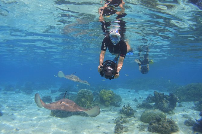 Moorea Private Boat Tour / Sea Scooter Snorkeling Tour - Hotel transfers around Moorea