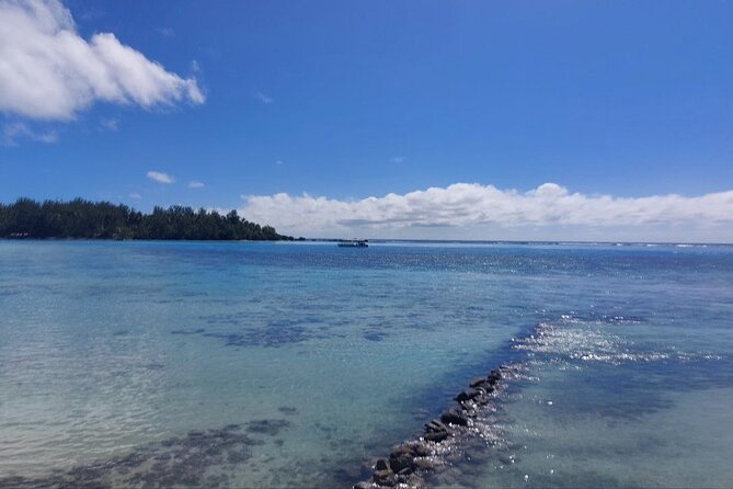 Moorea Private Full Day Tour - Rotui, fruit, jams, juices, and rum