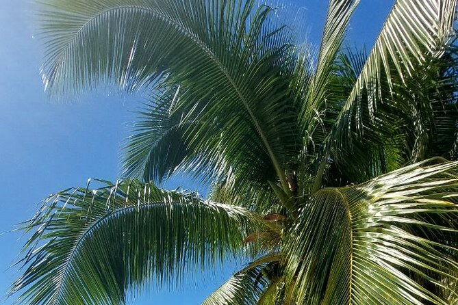 Moorea Private Full Day Tour - Cook’s Bay and the shape of Moorea