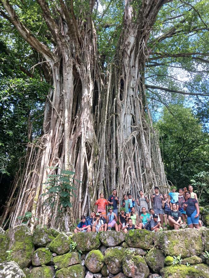 Moorea : Safari Nature and Culture Tour with local guide - A relaxed finish at Rotui Juice Factory and Distillery