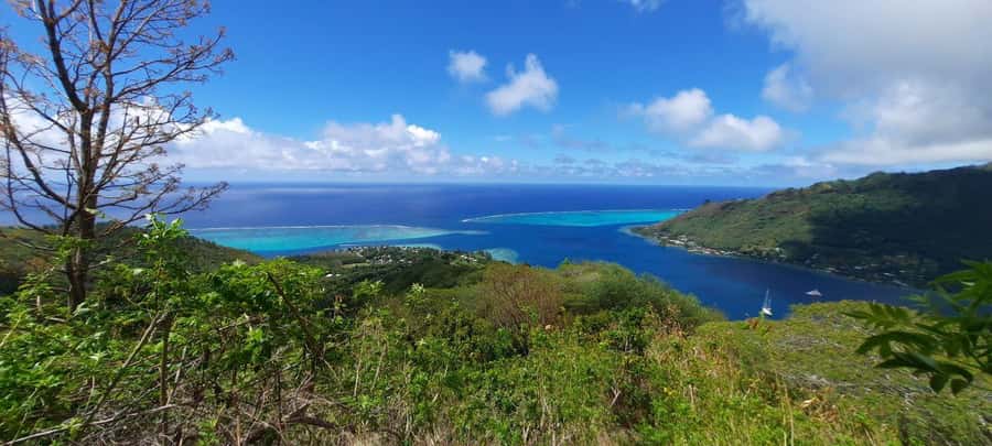 Moorea : Safari Nature and Culture Tour with local guide - Toatea Lookout starts the morning with a wide view