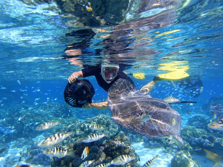 Moorea: Sea Scooter Snorkeling Tour - Why a small group matters