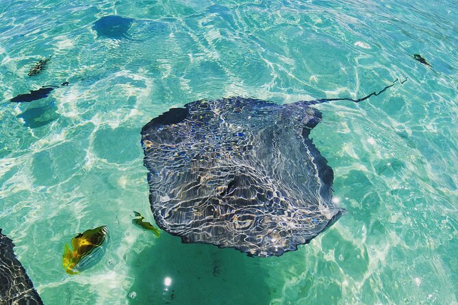Moorea Solo or Twin 2 hours Jet Ski Tour - How much value do you get for $222.10?