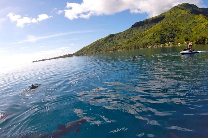 Moorea Solo or Twin 3 hours Jet Ski Tour - How fast and physical is the ride?