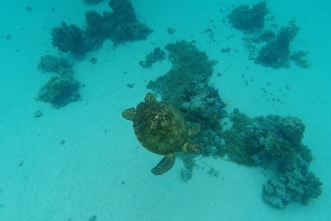 Moorea Solo or Twin Island Tour Jet Ski 4 hours - What the four hours really offer