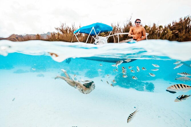 Moorea Sunset Boat Tour - Who will enjoy this Moorea experience most?