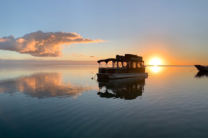 Moorea Sunset Boat Tour - The rays and sharks stop