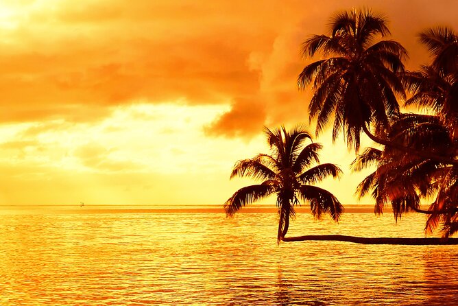 Moorea Sunset Boat Trip - Who will enjoy it most