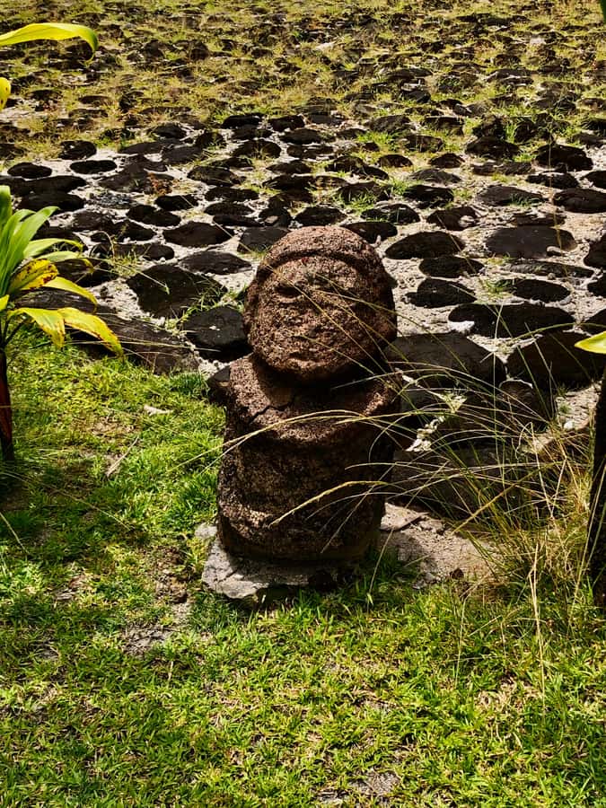 Must-Do : Nature, Culture & Moments Uniques – MirimirI Tours - Choosing your first stop