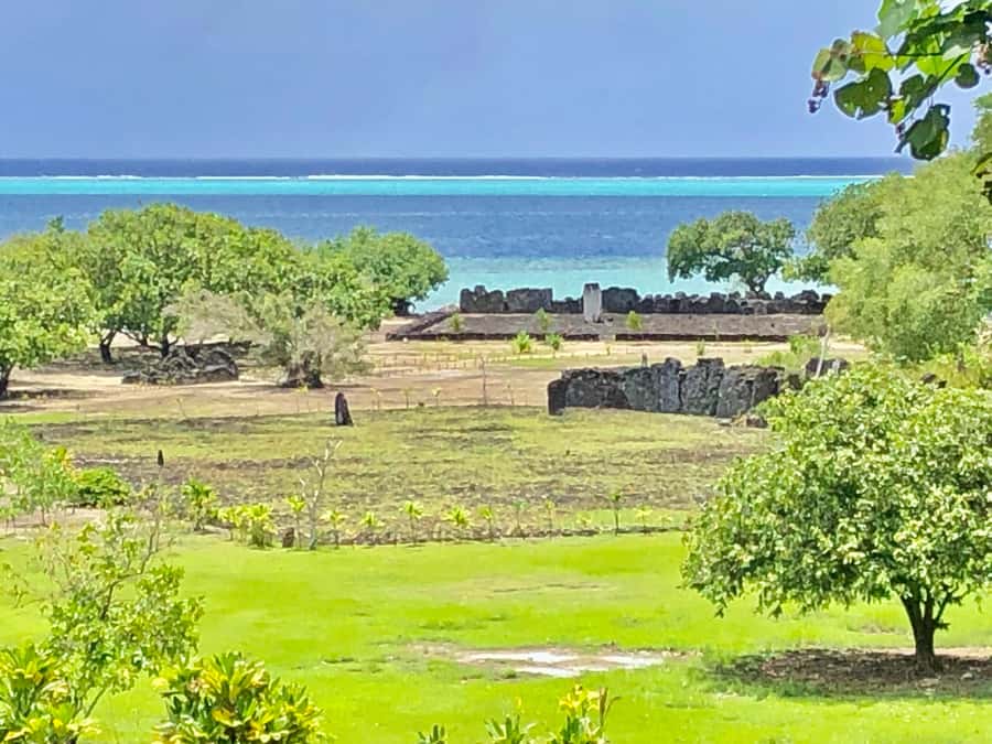 Must-Do : Nature, Culture & Moments Uniques – MirimirI Tours - Meeting Cathy at Gare Maritime