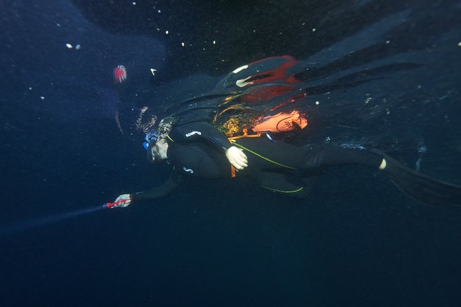 Night Snorkeling - The safety talk makes the first few minutes easier