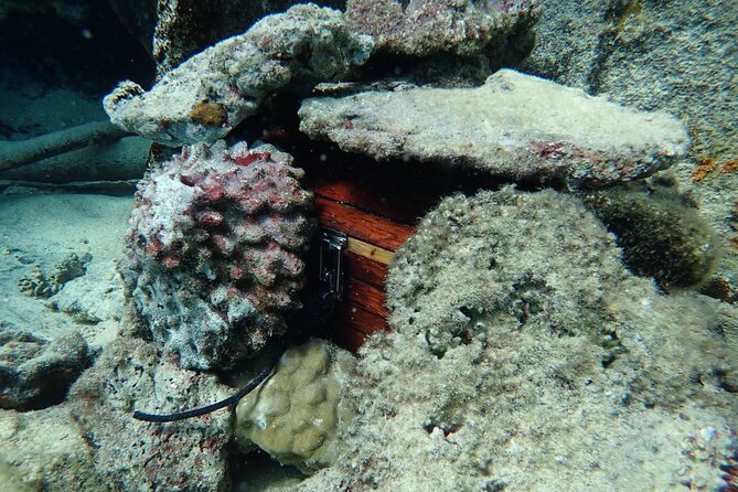 Private 4 Hours Reef Discovery Luxury Private Treasure Hunt in Bora Bora - Stop one: finding the first lagoon clue