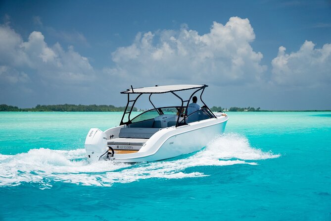Private 4 Hours Reef Discovery Luxury Private Treasure Hunt in Bora Bora - Fabien and Pierre: the human side of the outing