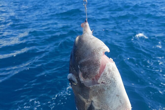 Private Big Game Fishing Tour in Raiatea - Weather, fitness, and practical planning