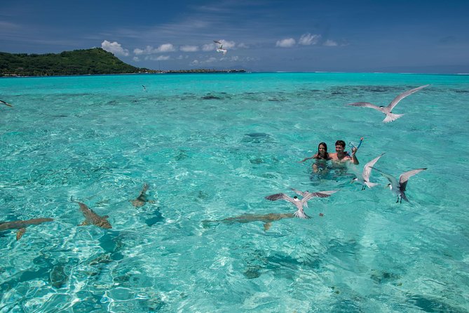 Private Boat Rental on Cap Camarat 25ft - Snorkeling around sharks, rays, and coral gardens