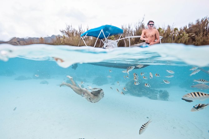 Private Boat Tour of Moorea Lagoon - Why the private boat matters
