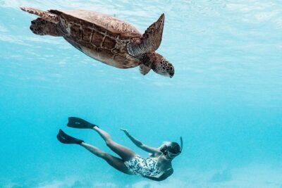 Private Boat Tour of Moorea Lagoon