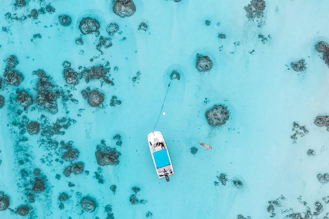 Private Boat Tour of Moorea Lagoon - Choosing the right time of day