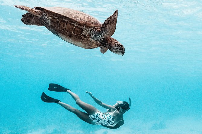 Private Boat Tour of Moorea Lagoon - The snorkeling: shallow water, coral, and close wildlife