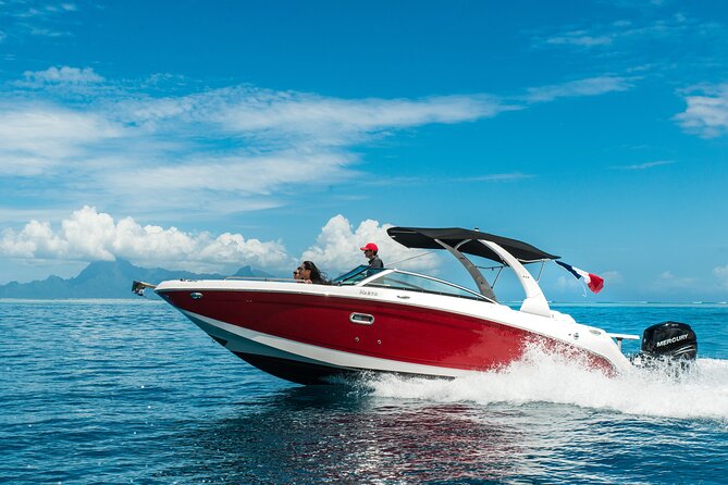 Private Boat Trip with Sunset / sunset cruise - Key points to know before booking