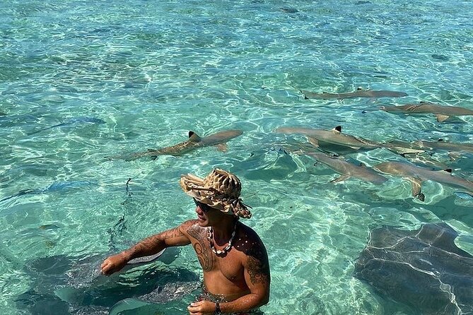 Private Bora Bora Lagoon Experience - Rays, sharks, and the lagoon’s wild side
