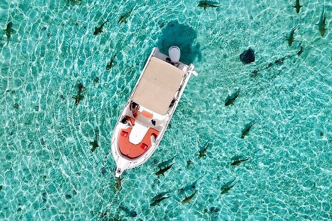 Private Bora Bora Lagoon Experience - Who will enjoy this most?