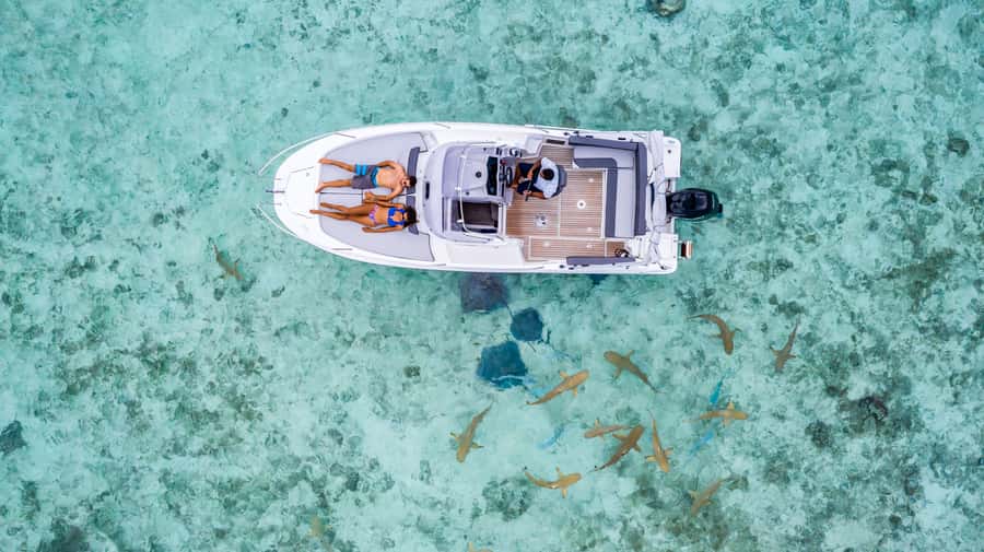 Private Bora Bora Lagoon Snorkel Cruise with BBQ Picnic - The motu barbecue is the day’s calm center