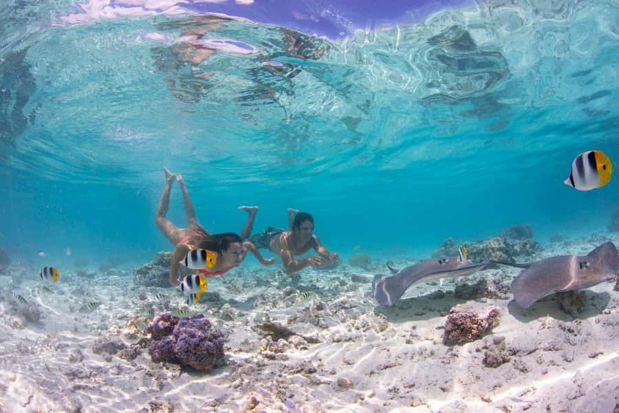 Private Bora Bora Lagoon Snorkel Cruise with BBQ Picnic - Should you book the Private Bora Bora Lagoon Snorkel Cruise?