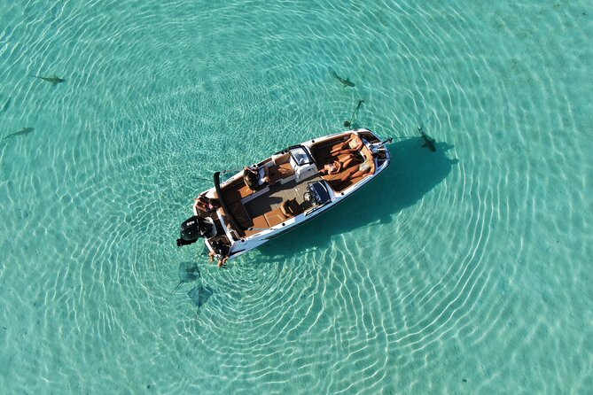 Private Day Trip Hike and Boat in Moorea - Three hours with Moorea’s marine fauna