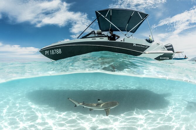 Private Day Trip Hike and Boat in Moorea - Who will get the most from this day