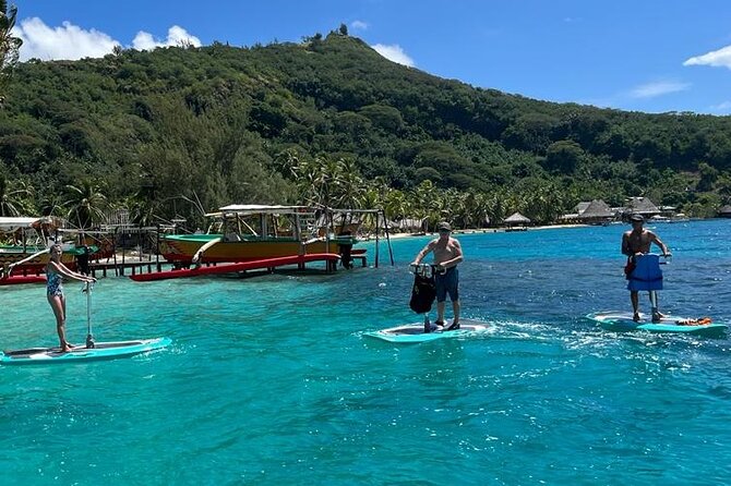 Private Electric Paddle Cruise in Bora Bora - Is $55 good value for one hour?