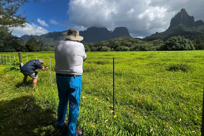 Private excursion to Moorea, photo tour & immersive discovery - What the private format means for your group