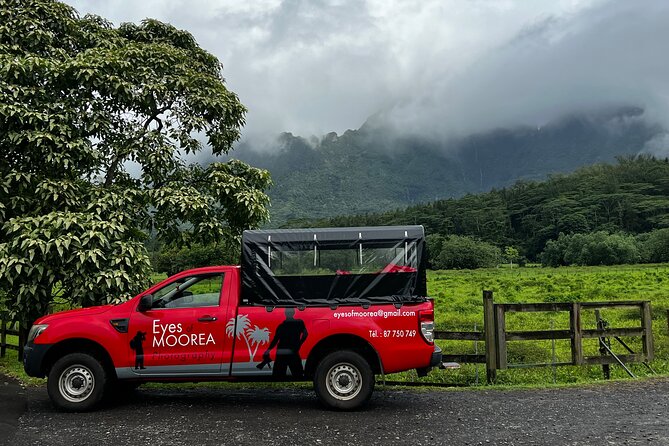 Private excursion to Moorea, photo tour & immersive discovery - Four hours is enough for highlights, not everything