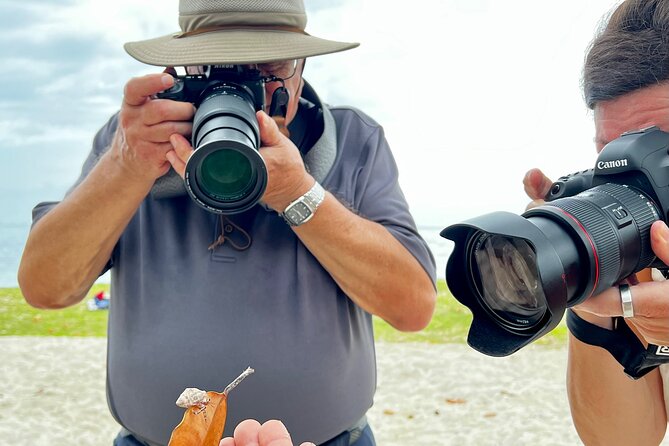 Private excursion to Moorea, photo tour & immersive discovery - Opunohu Bay and Mount Rotui