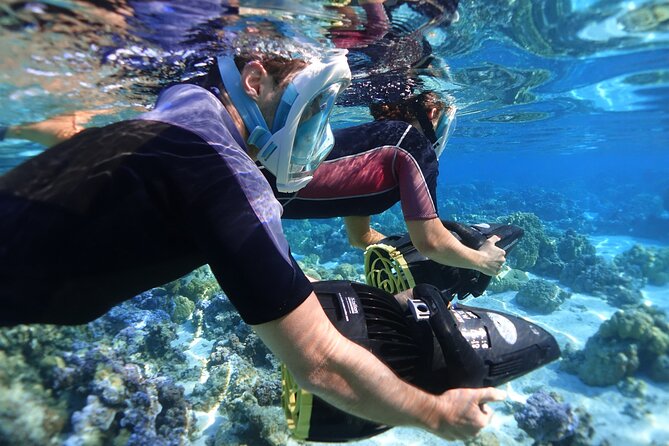 Private Excursion with E-Board in Moorea with snorkeling - What the photos and videos add